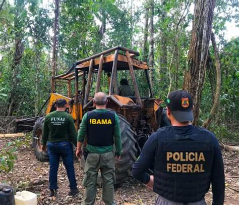 PF Ibama e Funai deflagram operação na Terra Indígena Rio Mequéns