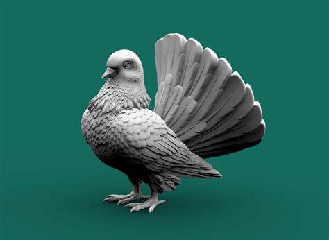 Artstation Pigeon Resources