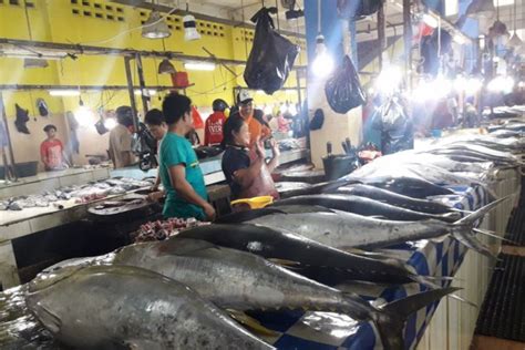 Cuaca Buruk Harga Ikan Di Ternate Merangkak Naik Haliyora Id