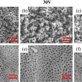 Sem Images Of The Scaffold Surface After Min Of Anodizing At