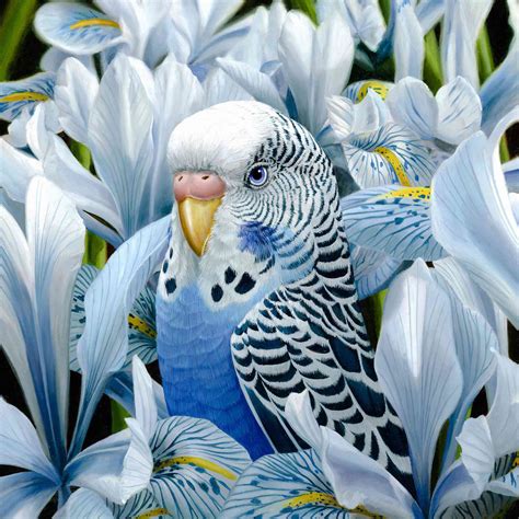 gambar flora  fauna  koleksi gambar