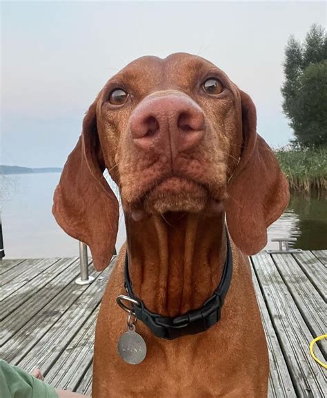 Izabella Krzan w różowym bikini Cud natury który dały nam Mazury