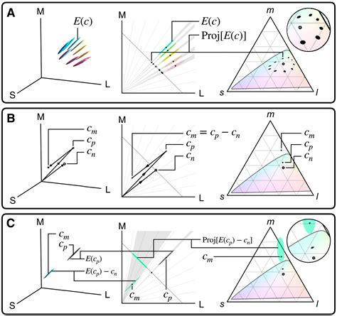 Novel color via stimulation of individual photoreceptors at population ...