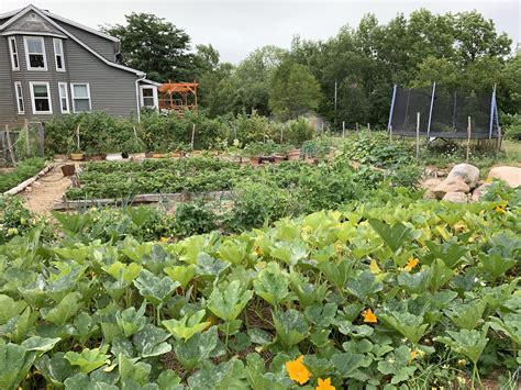 Sustainable farming initiatives are starting in mabou nova scotia 22