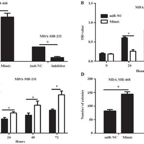 MiR 589 Inhibits TNBC Cell Viability And Proliferation A The