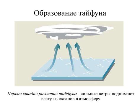 Тайфун. Самые разрушительные тайфуны XX века - презентация онлайн
