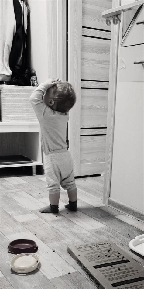 Сечень / Стихи.ру