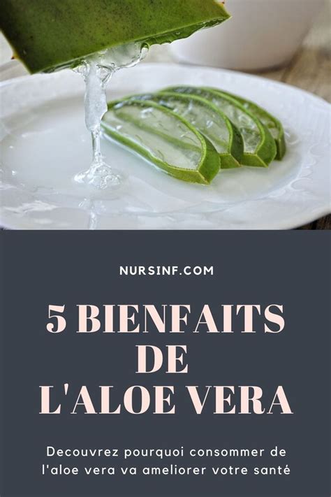 Les bienfaits de l aloe vera L aloe vera est utilisé depuis des