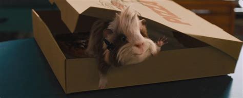 G- Force Screencaps - Guinea Pigs Image (25201557) - Fanpop