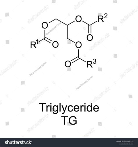 Triglyceride Chemical Structure Triacylglycerol Triacylglyceride Ester ...