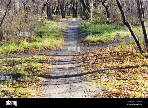 Fork in the road metaphor hi-res stock photography and images - Alamy