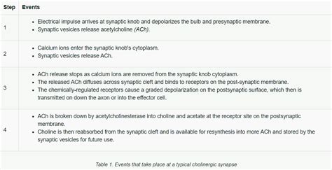 144 Neurotoxicity Chemistry Libretexts