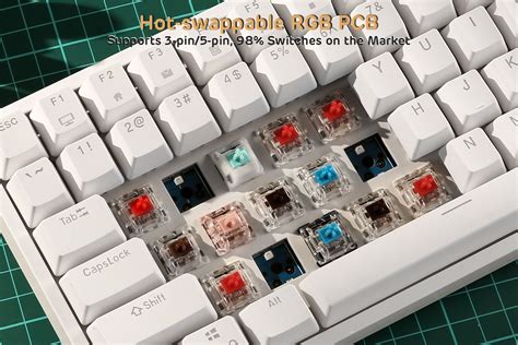 Rk Royal Kludge Rk Wired Rgb Hot Swappable Mechanical Keyboard Keys Tenkeyless Tkl