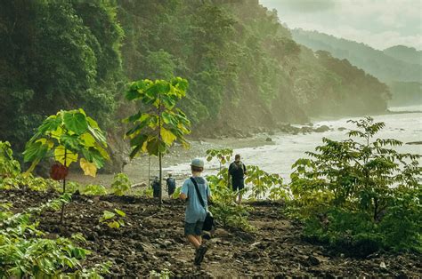 Visit Corcovado National Park | Surcos Tours