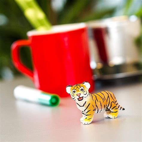safari  bengal tiger cub animal kingdoms toy store