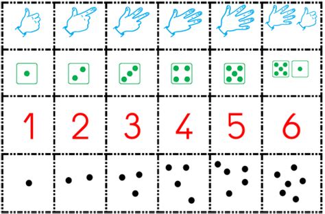 La Construction Du Nombre En Maternelle Maternelle Maths Maternelle