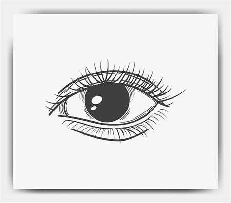 Premium Vector Hand Drawn Beautiful Female Eye