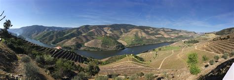 Best Of Douro Provas De Vinhos Vinhos DOC Douro E Alojamento No Douro