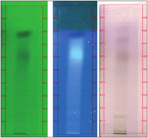 Hptlc Fingerprinting Of Classically Prepared Parangipattai Pathangam