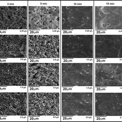 Top View Sem Micrographs Of Coatings Formed At Various Stages Of The