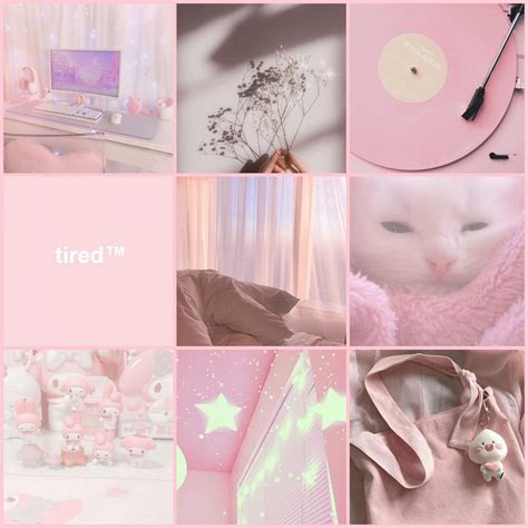 Soft Pink Aesthetic Board Aesthetics Amino