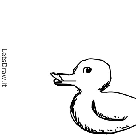 How To Draw Rubber Duck Kne Rfnic Png Letsdrawit