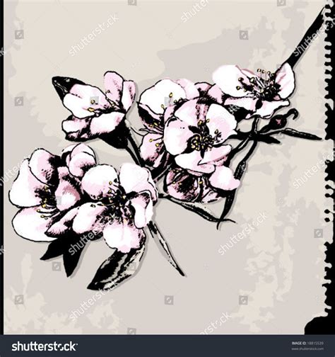 Apple Blossom Drawing On Grunge Background Stock Vector 18815539 ...