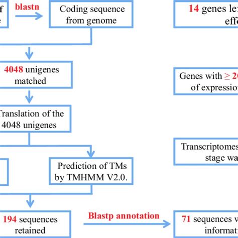 Overview Of The Functional Genomics Approach Used To Identify Candidate