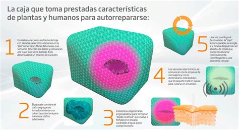 Microsiervos On Twitter RT Microsiervos Embalajes Del Futuro Cajas