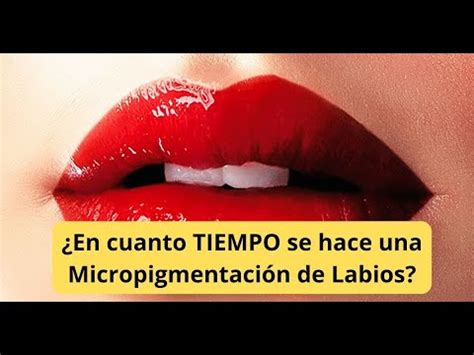 En Cuanto Tiempo Se Hace Una Micropigmentaci N De Labios Youtube