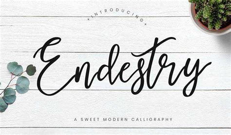 The 15 Best Free Calligraphy Fonts for Designers