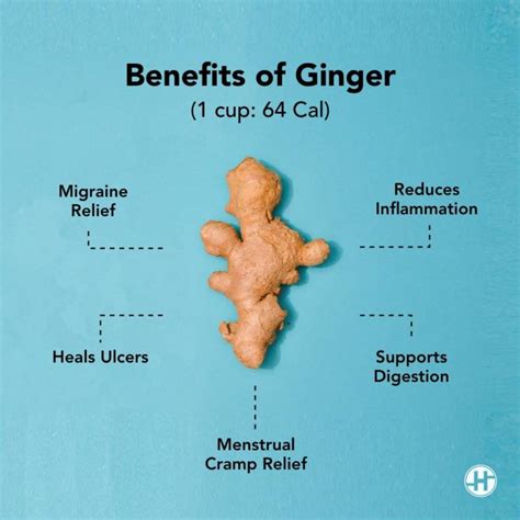 Ginger - Benefits, Nutritional Value And Ways To Add Ginger - HealthifyMe