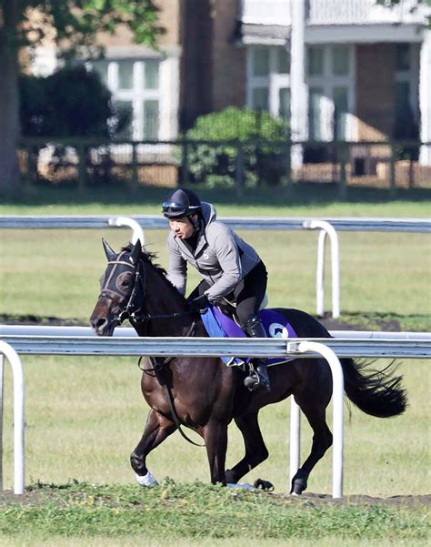 【プリンスオブウェールズs】シャフリヤール歴史的快挙へ 藤原調教師「期待の方が大きい」 Umatoku 馬トク