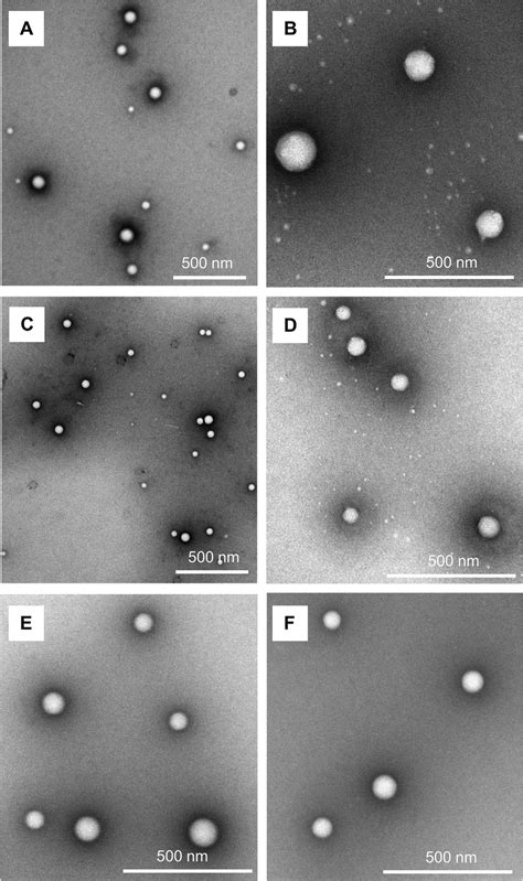 TEM Micrographs Of Unmodified PLGA A And TAT Tagged PLGA