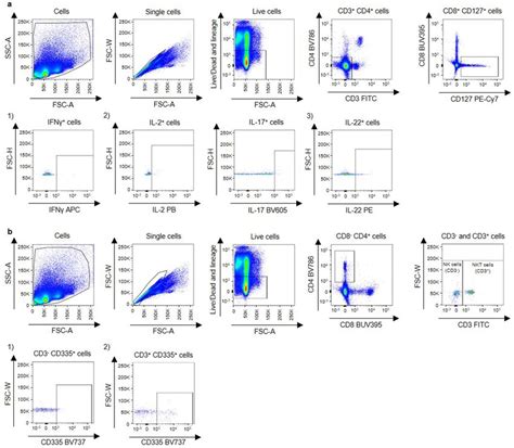 Flow Cytometry Gating Strategies A Representative Gating Strategy Of