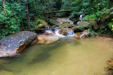 Chinh phục đỉnh Chư Yang Sin nóc nhà Đak Lak Mây Adventure