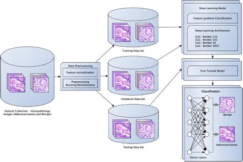 Block diagram of the Proposed Colon Cancer Classification Model ...