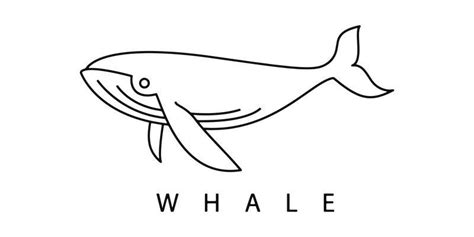 Whale Outline Vector Art, Icons, and Graphics for Free Download