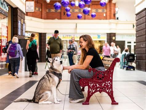 The Victoria Centre | VisitWales