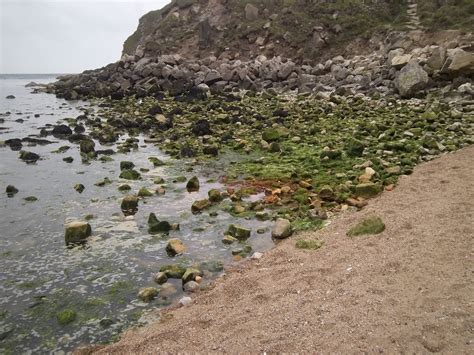 Lulworth Cove 9 John Doo Flickr