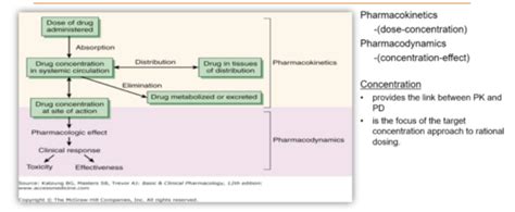 Pharmacokinetics Clinical Pharmacokinetics Flashcards Quizlet