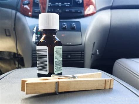 All-Natural DIY Car Air Freshener In SECONDS! - The Heathered Nest