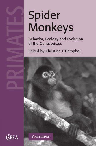 Spider Monkeys Behavior Ecology And Evolution Of The Genus Ateles