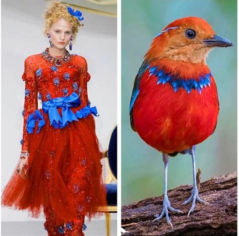 Fast Fashion, Fashion Art, High Fashion, Fashion Trends, Moda Animal ...