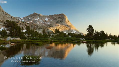 Vogelsang High Sierra Camp Yosemite National Park Natural History