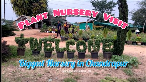 Plant Nursery Visit Plants Starting From 30 Rs Ceramic Pots