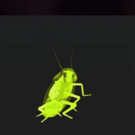 playing  dancing cockroach gif  dancing cockroach