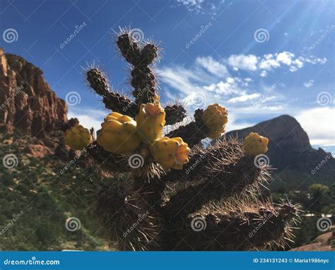 View Of Sedona From Chapel Of The Holy Cross In Arizona Stock Image