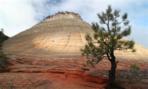 Checkerboard Mesa Zion National Park Alltrips