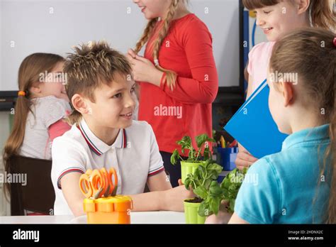 Child School Pupils Elementary School Biology Lesson Children